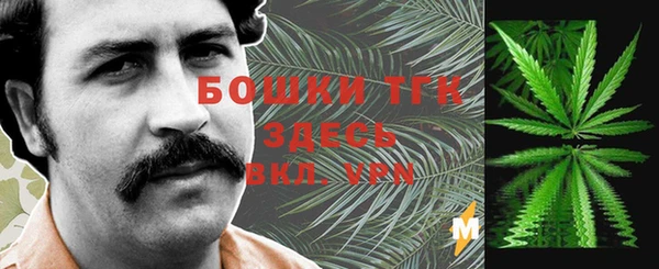 индика Сафоново