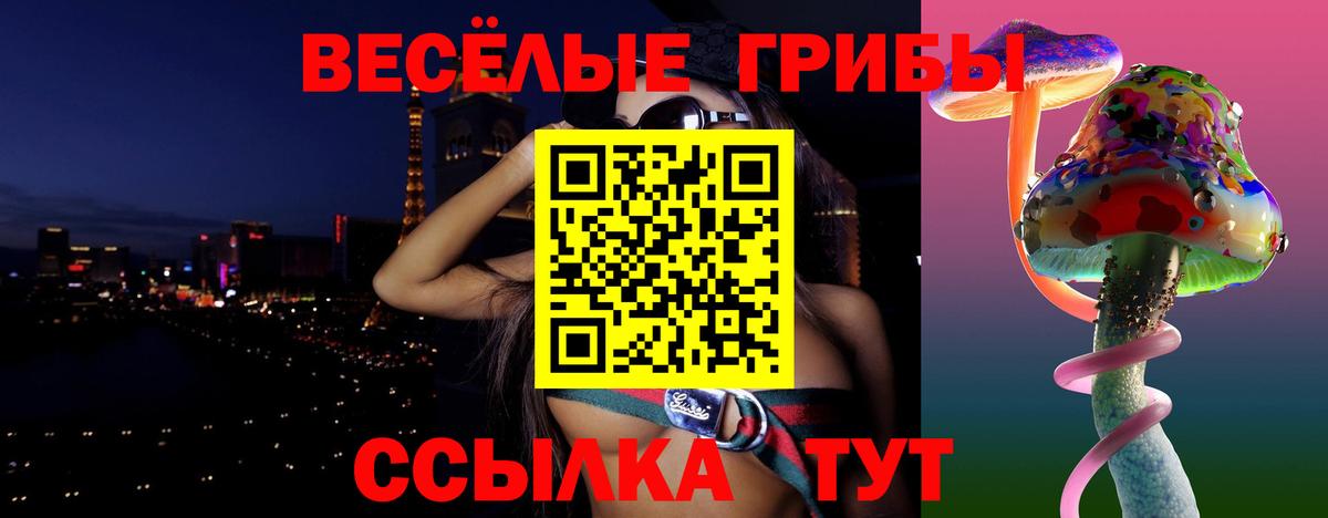 Псилоцибиновые грибы Psilocybe Анапа